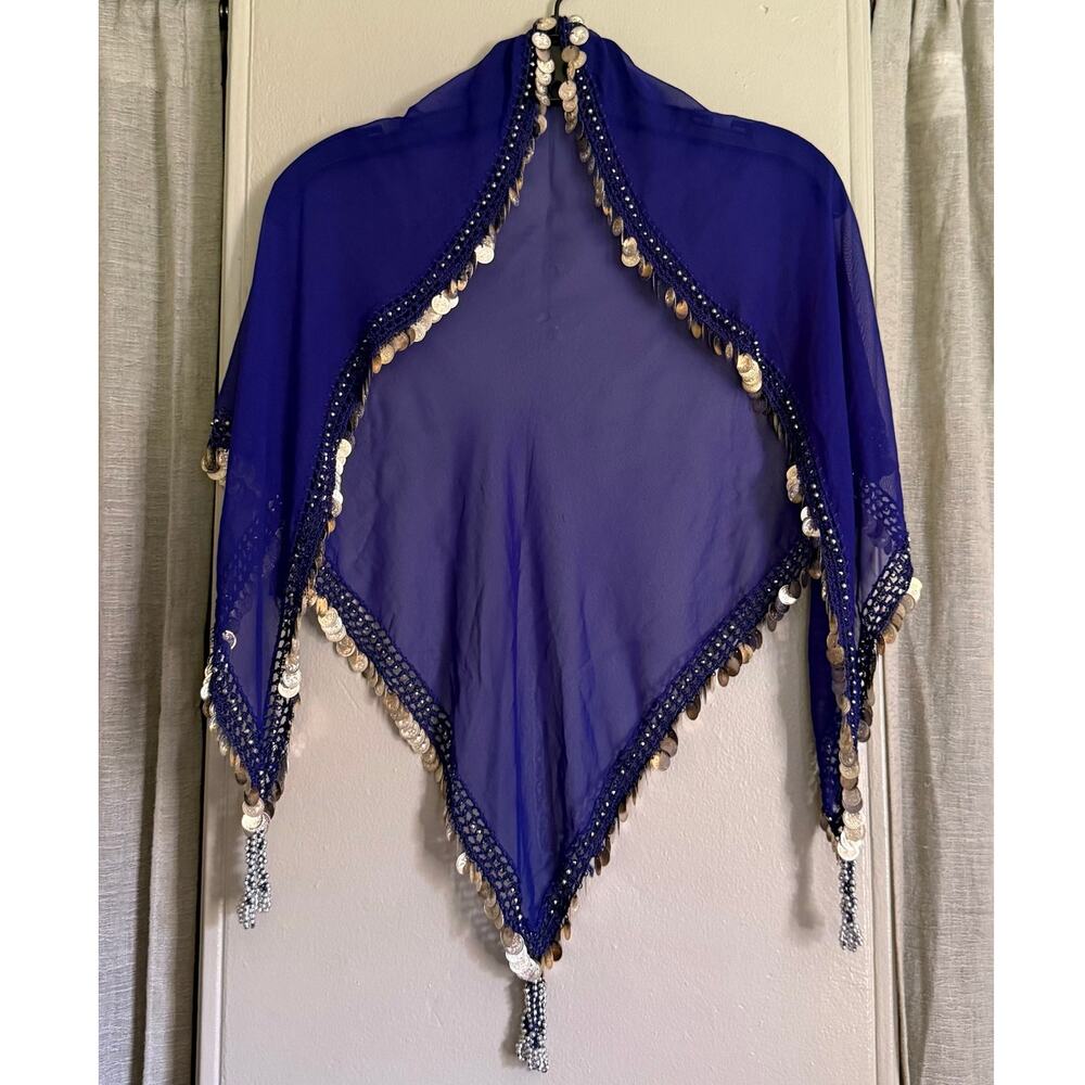India Arts Y2K Vintage Blue Mesh Belly Dancer Hip Scarf